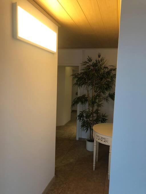 Haus Jaeger Ruheoase Im Gruenen Διαμέρισμα Lohfelden Εξωτερικό φωτογραφία