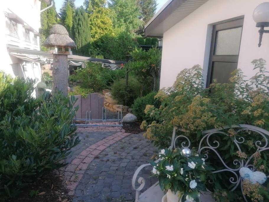 Haus Jaeger Ruheoase Im Gruenen Διαμέρισμα Lohfelden Εξωτερικό φωτογραφία